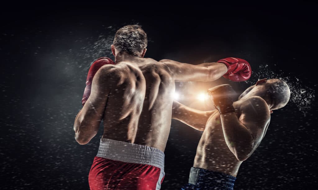 Boxen Wetten